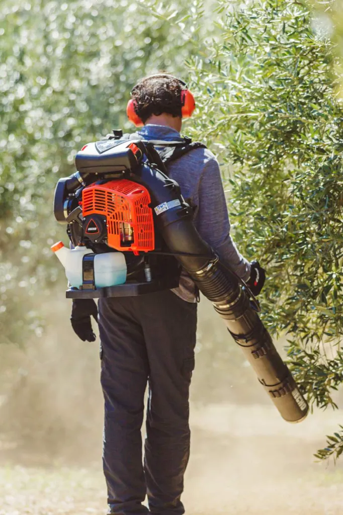 ECHO PB-8010 - Wolfs Tuinmachines Onstwedde5.webp