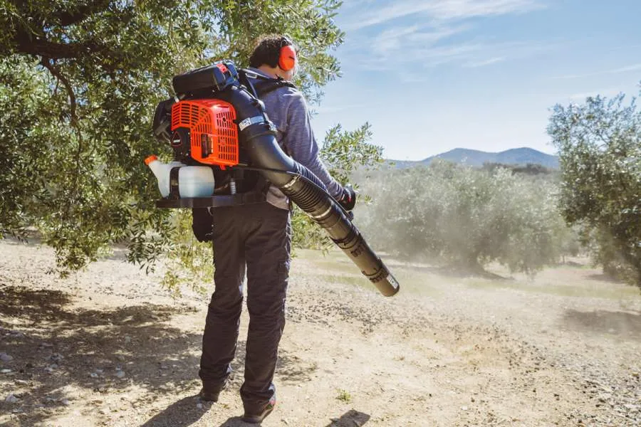 ECHO PB-8010 - Wolfs Tuinmachines Onstwedde4.webp