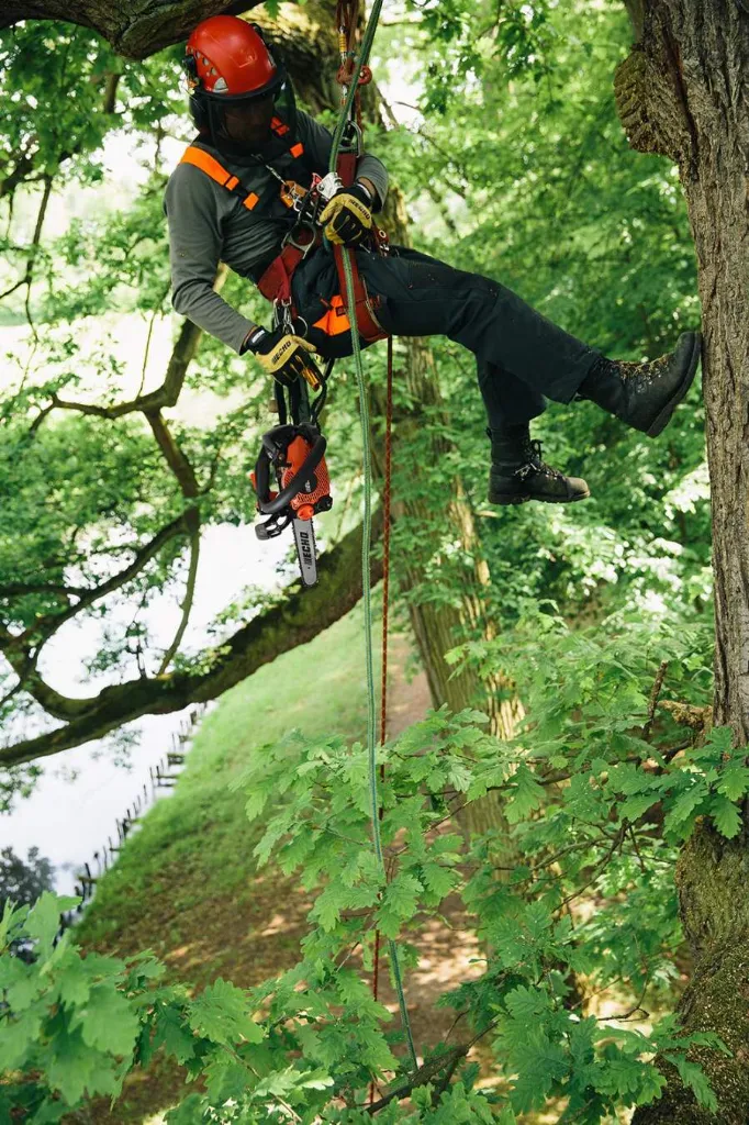 ECHO CS-2511TES Tophandle kettingzaag - Wolfs Tuinmachines Onstwedde4.webp