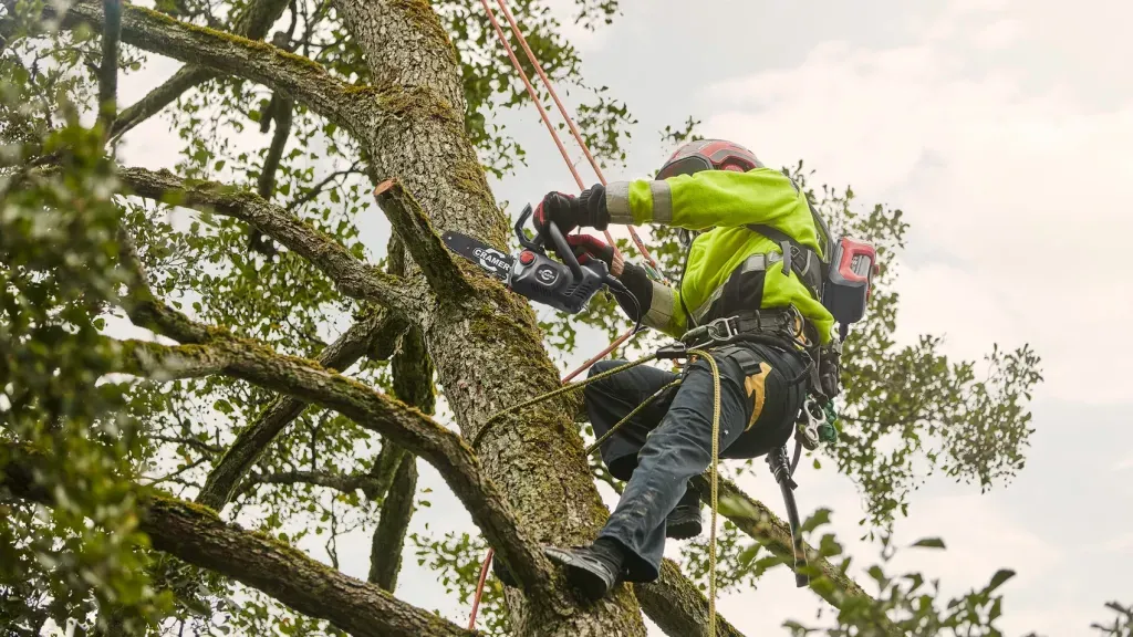 Cramer 82TCS15 82V Professionele 1,5 kW Tophandle Kettingzaag - Wolfs Tuinmachines ONSTWEDDE  2.webp